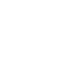 Video Guide